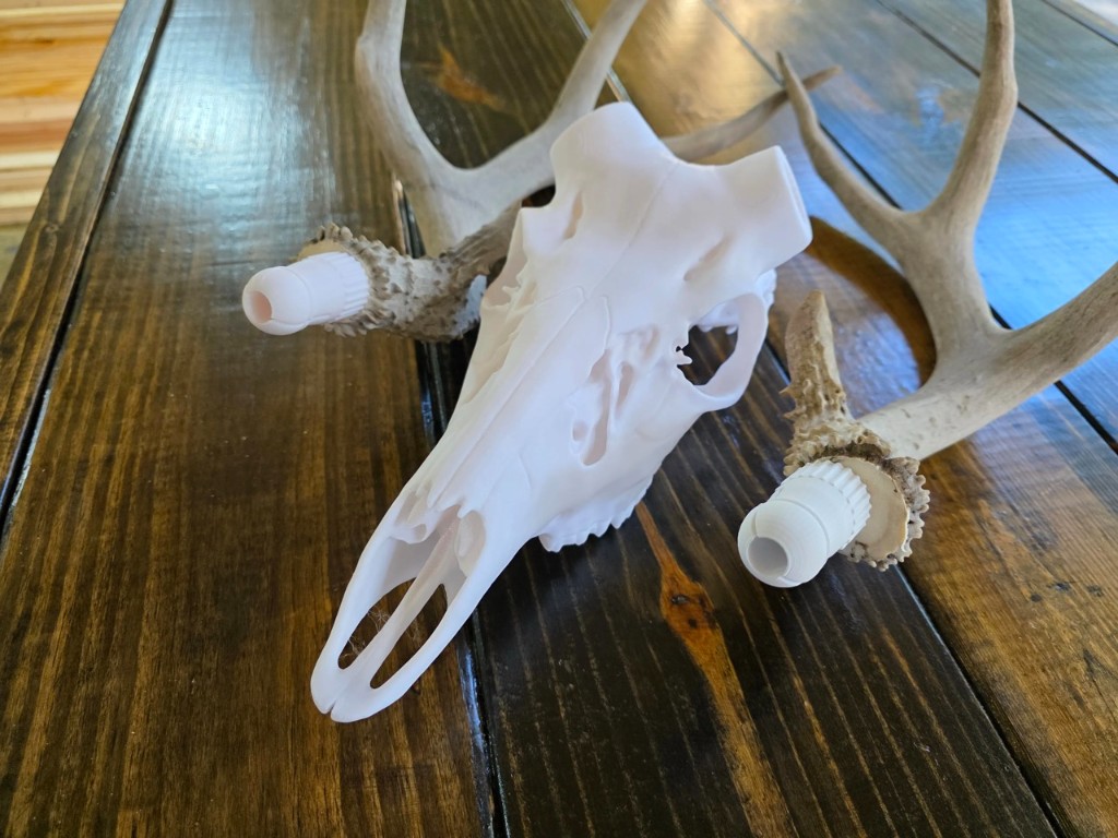 Bullet anchors installed in antlers before final clocking adjustment
