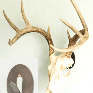 Skull Hangers